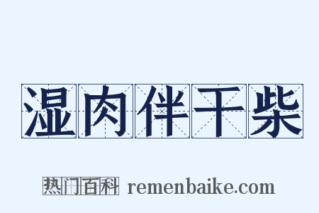 湿肉伴干柴是什么意思的图片